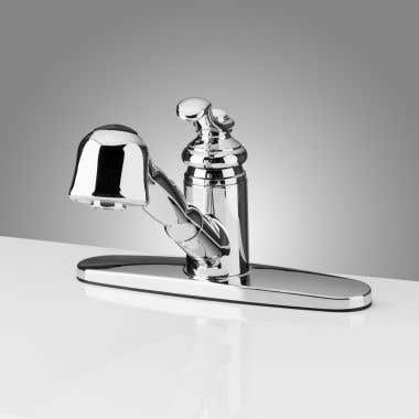 Randolph Morris Pull-Out Single Handle Kitchen Faucet