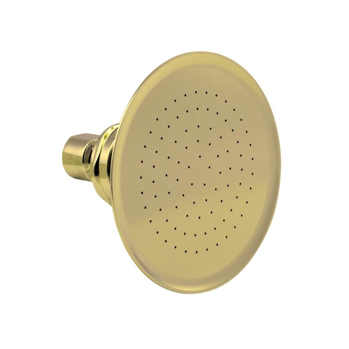 Watering Can Shower Head Vintage Tub & Bath